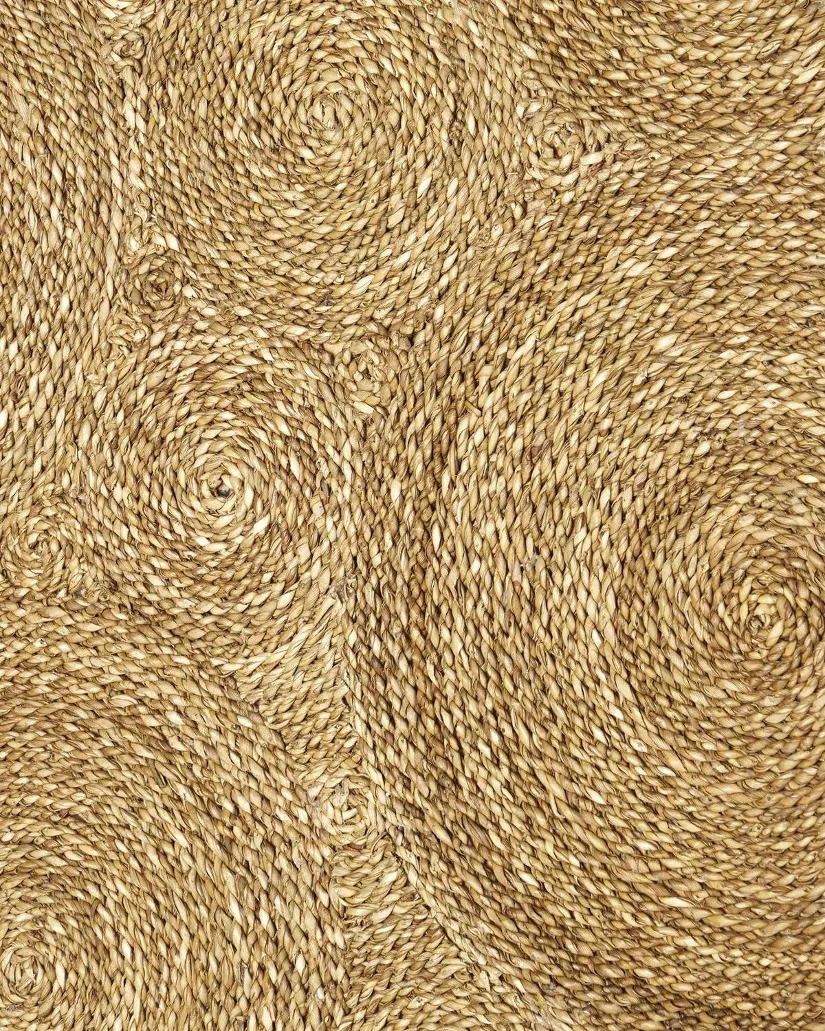 Sisal screenshot